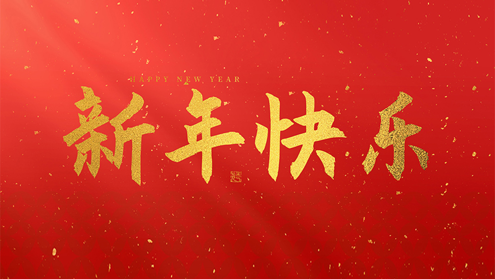 麗水市威儀自動(dòng)化技術(shù)有限公司祝全國(guó)人民2025新年快樂！